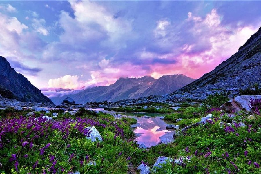 Valley of Flowers