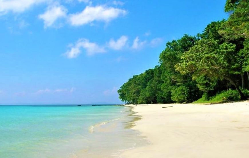 THE GREAT ANDAMAN