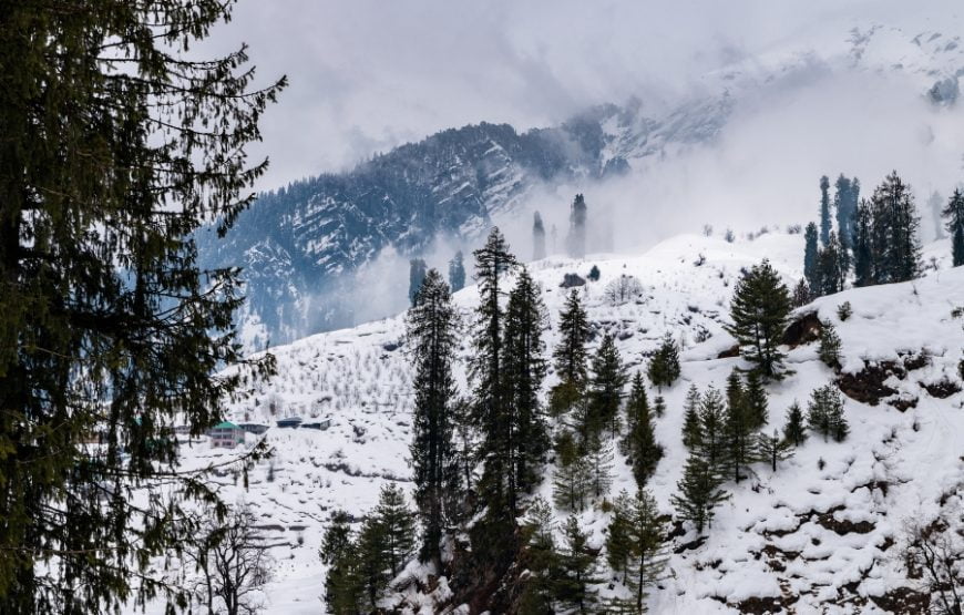 Manali 1 Night / 2 Days Tour Packages from Delhi