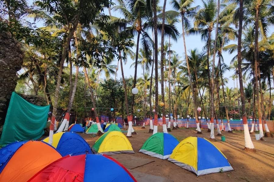 Beach Camping Alibaug