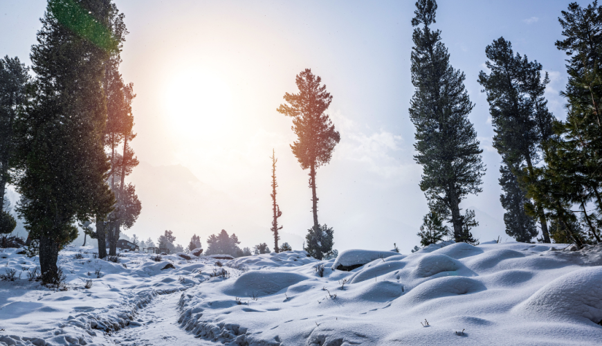 Beautiful view of pahalgam valley, Pahalgam, Kashmir, India