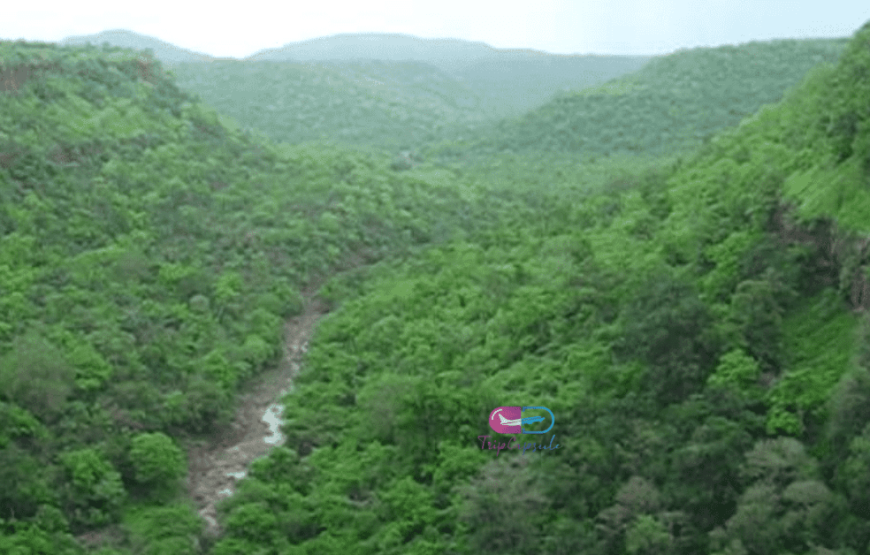 Gidiya Khoh Waterfall Trek, Indore