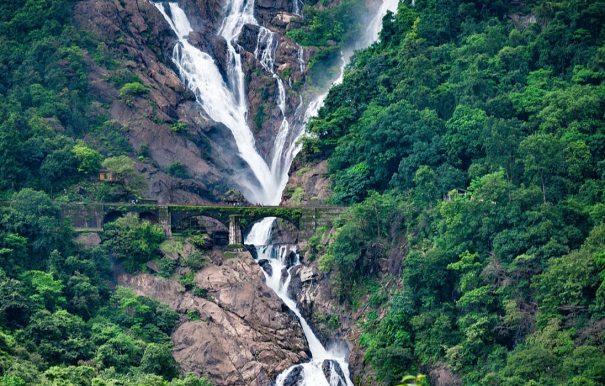 Dudhsagar Falls And Spice Plantation Tour Goa