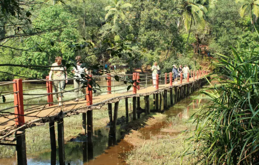 Dudhsagar Falls And Spice Plantation Tour Goa