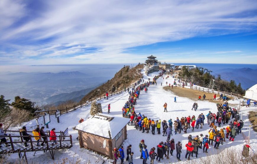 Chopta Tungnath Chandrashila Trek Tour Package With Kedarnath