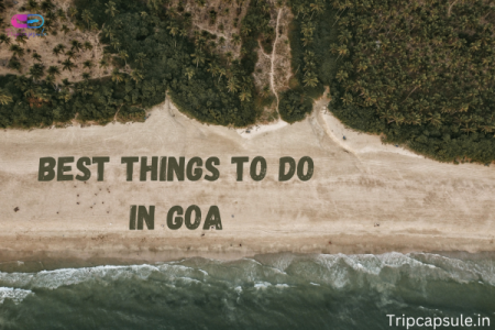 Best Things to do in Goa