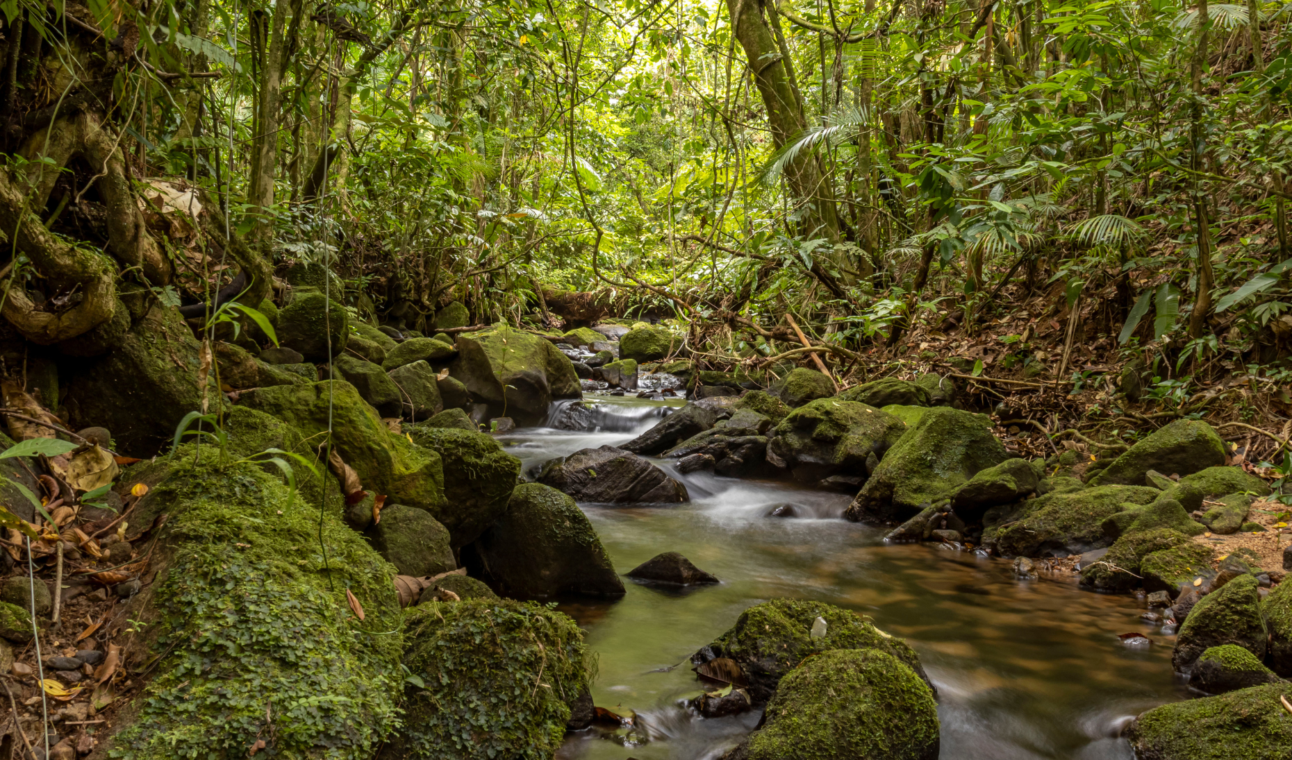 One-Day Trek to Jayanti Mata Waterfall