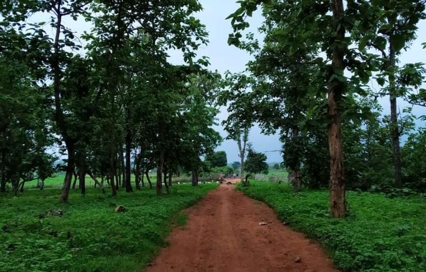 Jayanti Mata Waterfall Trek: An Adventurous Day Trip