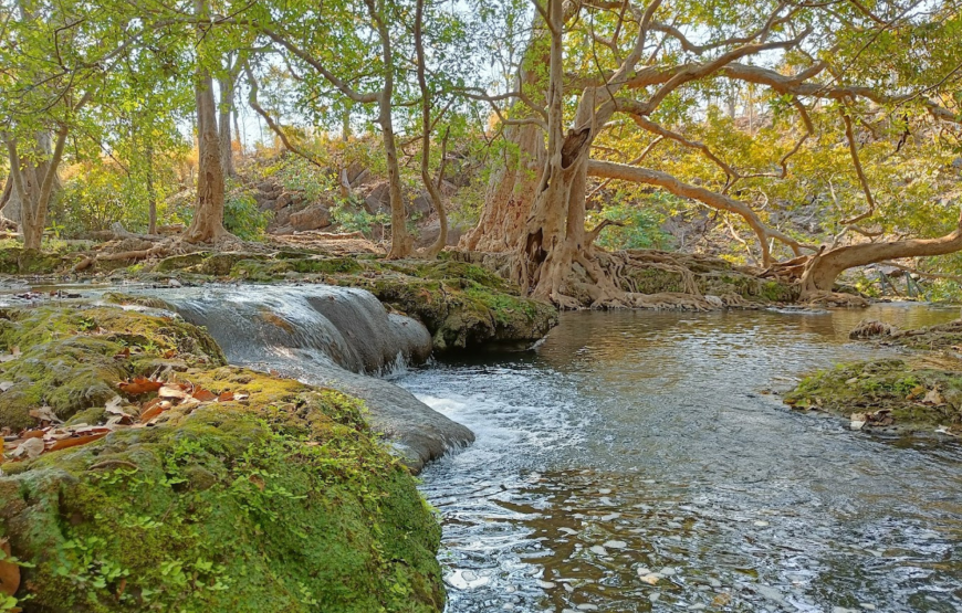 Jayanti Mata Waterfall Trek: An Adventurous Day Trip