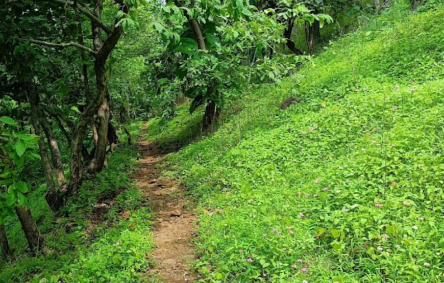 Junapani Waterfall Trek: An Hidden Escape