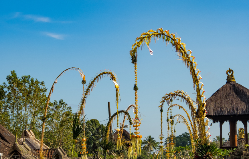 Bali Trip Special: 6 Nights Package with Flights from Mumbai (Nov-Dec)