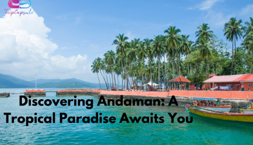 Discovering Andaman: A Tropical Paradise Awaits You