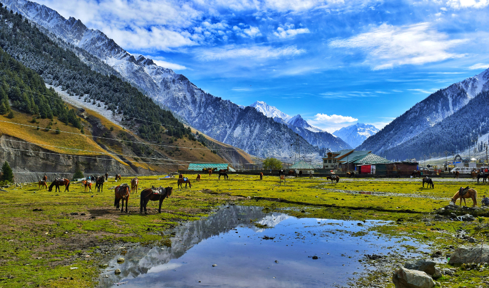 Day 1:  Shimla to Chitkul